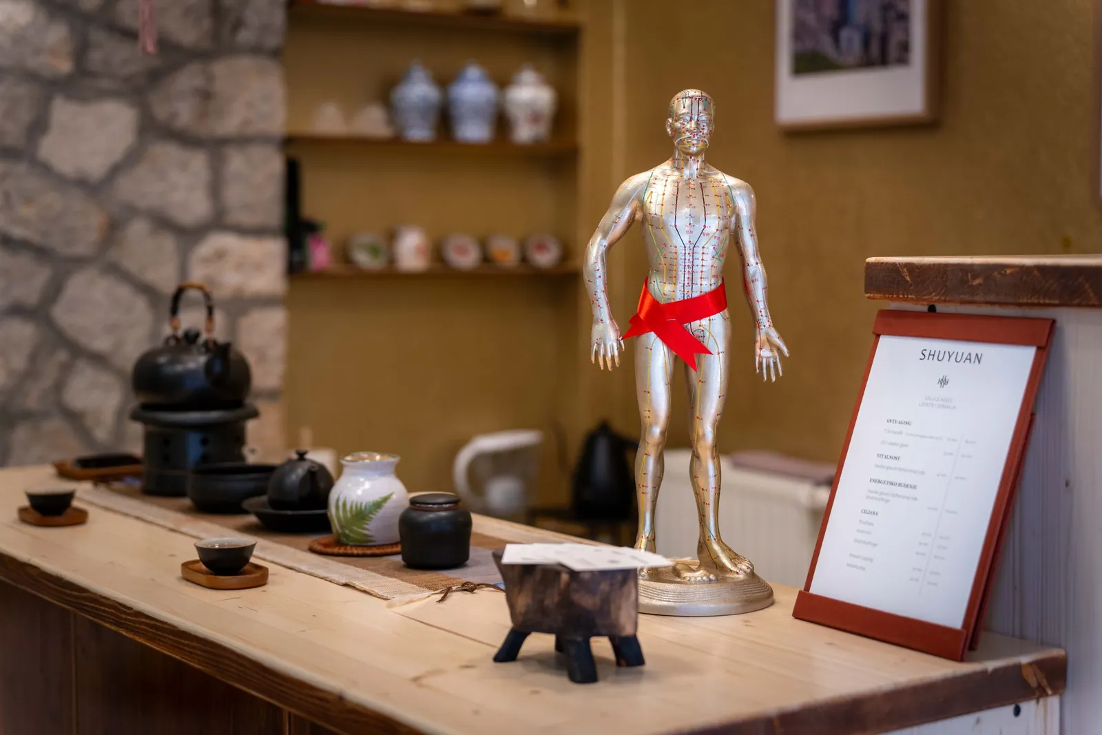 The Shuyuan centre interior with an acupuncture model